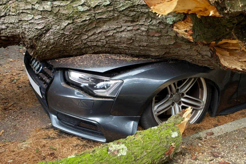 When Things Go Wrong: Understanding Liability, Insurance, and Wage Deductions After a PA's Mistake